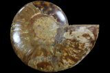 Agatized Ammonite Fossil (Half) - Crystal Lined Chambers #78596-1